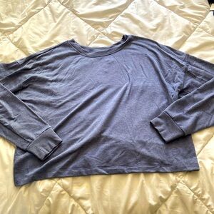 Wildfox size L blue sweatshirt